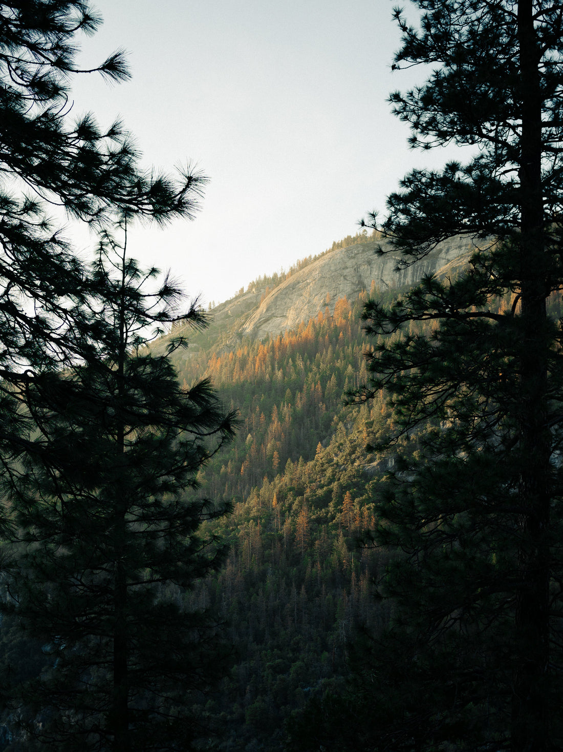 How to live like it’s the weekend every day