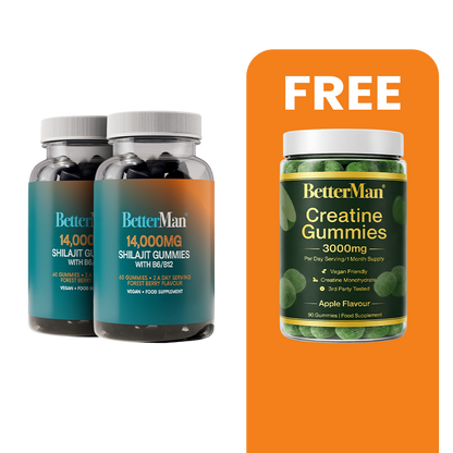 Shilajit Extract Gummies With B6 B12